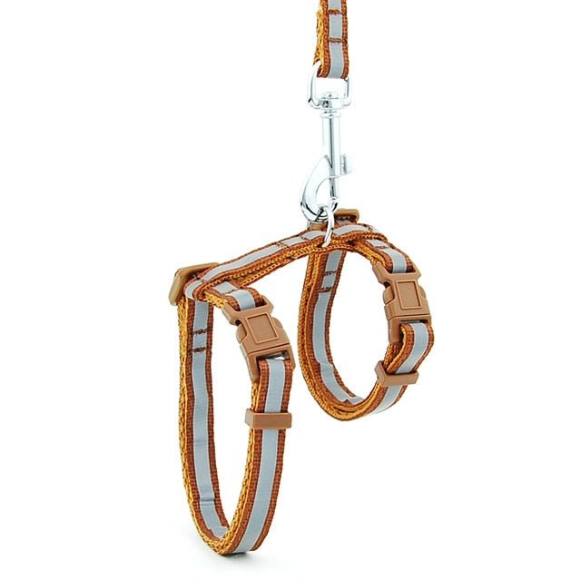 Harnais pour collier d'animal de compagnie (15 couleurs)