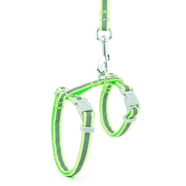 Harnais pour collier d'animal de compagnie (15 couleurs)