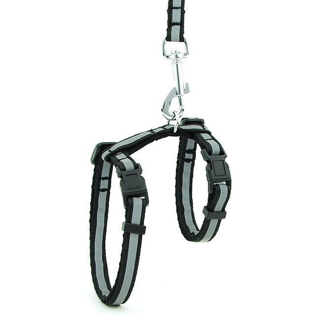 Harnais pour collier d'animal de compagnie (15 couleurs)
