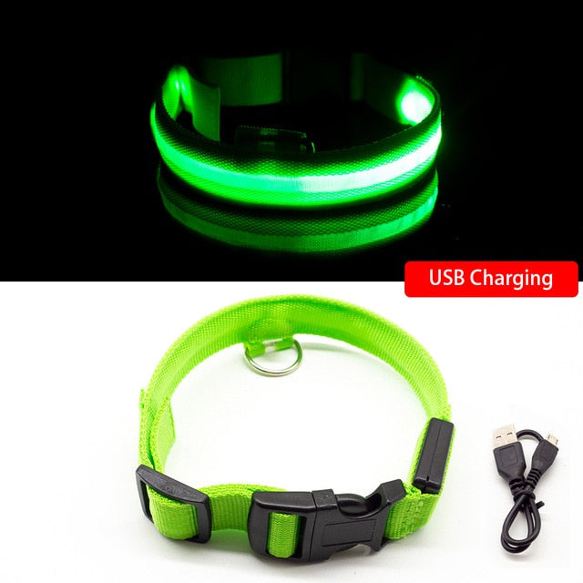 Collier LED pour chien (10 couleurs)