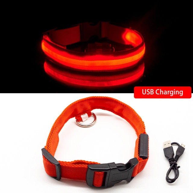 Collier LED pour chien (10 couleurs)