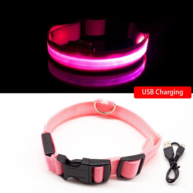 Collier LED pour chien (10 couleurs)