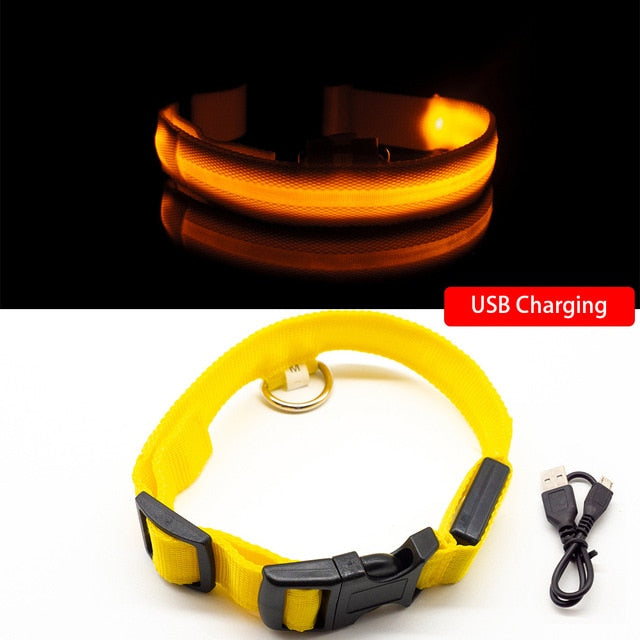 Collier LED pour chien (10 couleurs)