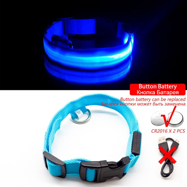 Collier LED pour chien (10 couleurs)