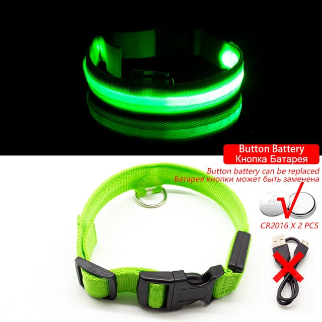 Collier LED pour chien (10 couleurs)