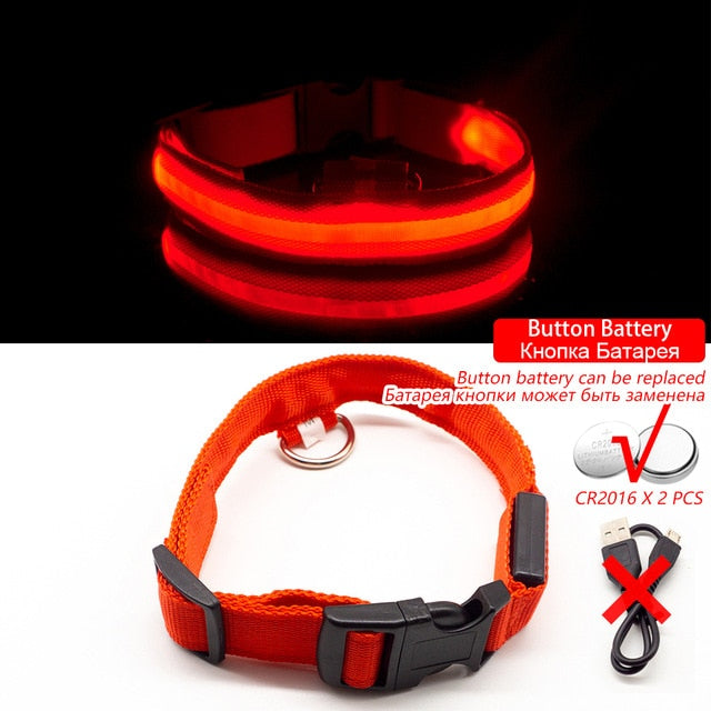 Collier LED pour chien (10 couleurs)