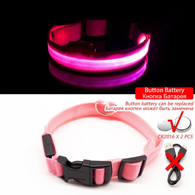 Collier LED pour chien (10 couleurs)