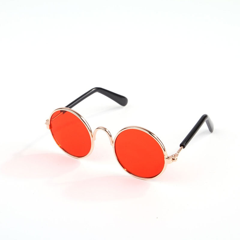 Lunettes pour chat (6 variantes)