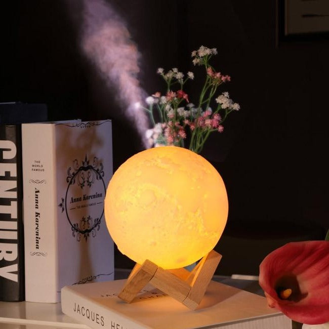 Diffuseur de lampe lunaire