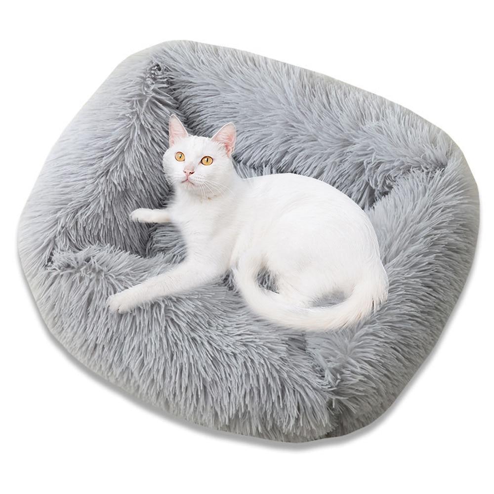 Pet Beds