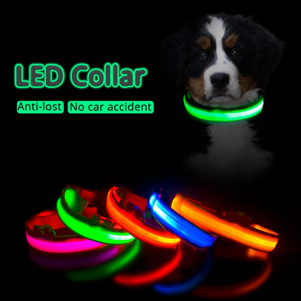 Collier LED pour chien (10 couleurs)