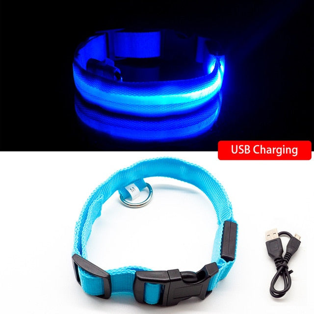 Collier LED pour chien (10 couleurs)